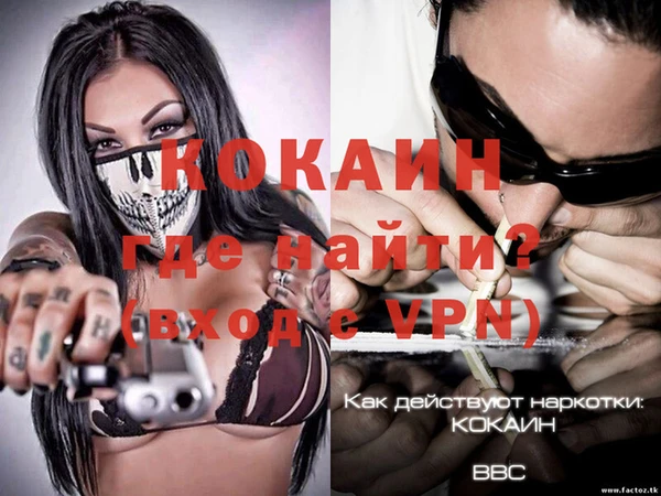МДПВ Гусев