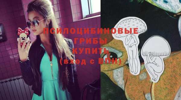 МДПВ Гусев