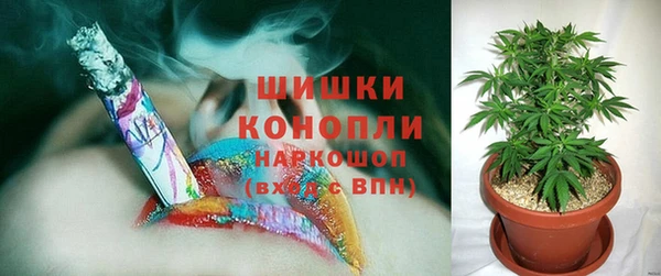 МДПВ Гусев