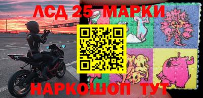 apvp Канаш
