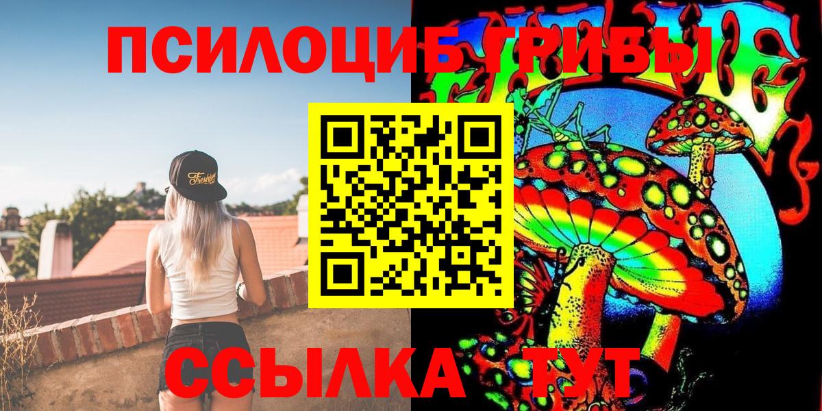 Галлюциногенные грибы Psilocybe  Острогожск 