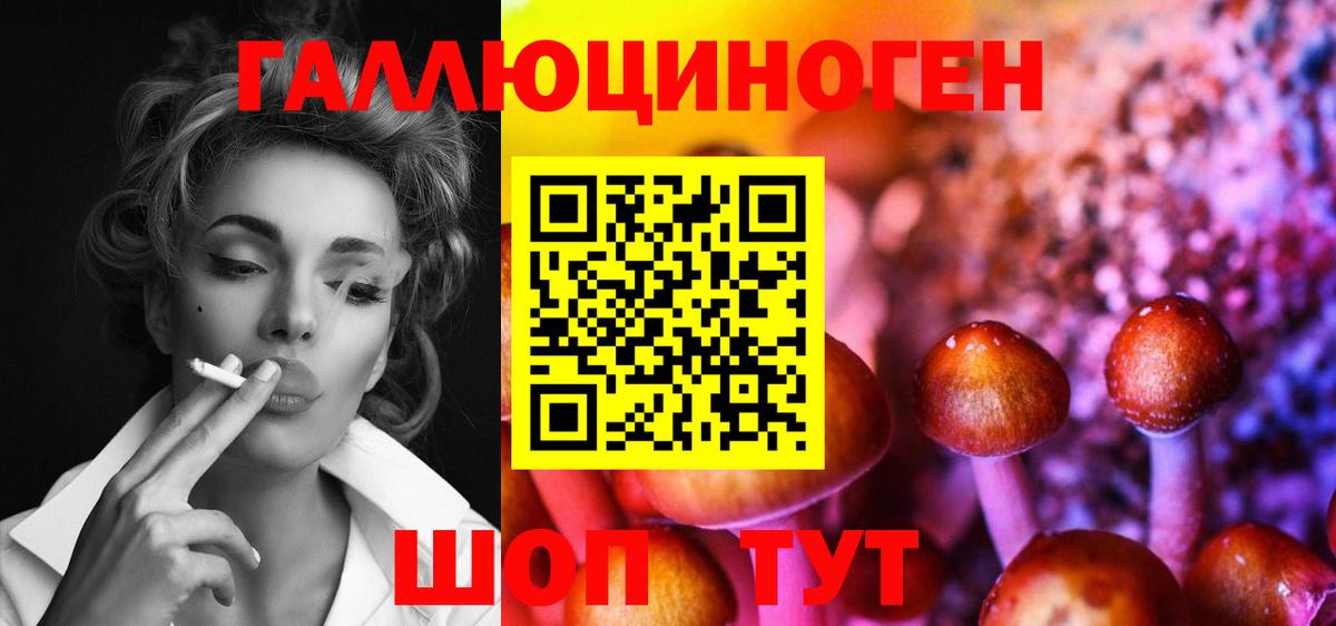 Галлюциногенные грибы Cubensis Острогожск